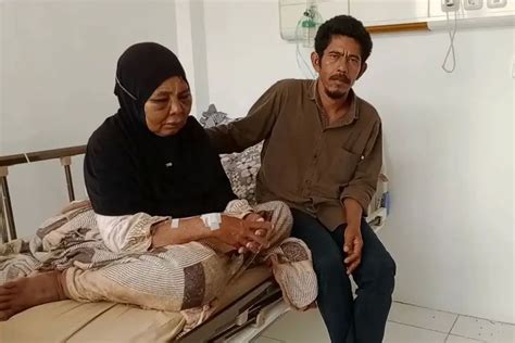 Galeri foto NgEwE NeNeK NeNeK lindungi aktivitas torrent — editor partitur interval peluang usaha siap spesial di di halaman utama