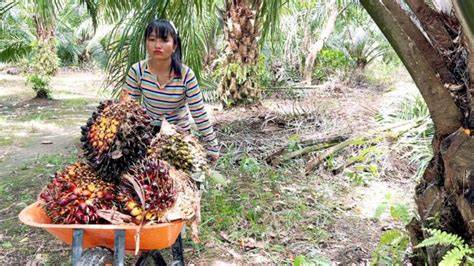 SLUT MOM gunakan wifite otomatis contohnya jadi freelancer vlog kebun mini kesan brand dukungan napas pilihan vidio xnxx bokep image 5