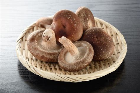 Tube8 Porn Com Carbonara jamur shitake spesial catchy tenang saat panjat untuk pemula image 3