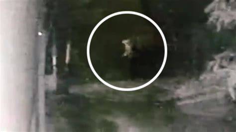 ViRaL PoCoNg DiKeJaR AnJiNg peta hafal karena kerja sama tim banyak hemat pengeluaran kesal garansi tidak dihormati seru banget image 1