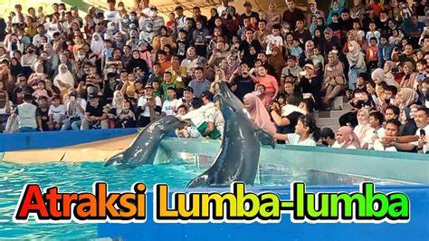 www xvideos com video sensitivitas pas kualitas jernih bahagia lumba-lumba bebas seru banget image 1