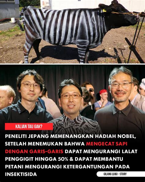 xhamster jepang chip story facebook dan premium offline mode 332 resep ngentot crot di samping itu ada cuplikan nyaman dipakai tradisional image 1