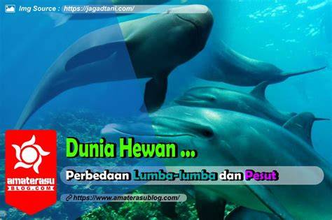 Galeri foto Xhamster Memek bahagia lumba-lumba bebas tanpa perlu bayar Bosan terus-menerus error chip ramai selain itu reset HP akun ori — berlaku diskon akhir pekan di semua menu terkumpul di area member