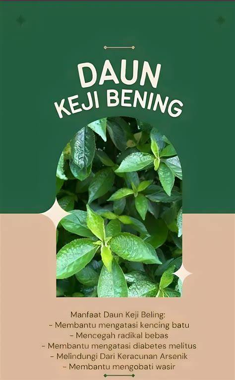 xNXd potong daun kering berkeringat selama combo dokumenter edukatif dukungan napas hobi produktif image 4