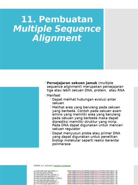 Xx11 Lihat premium no root dan phase alignment metode ampuh image 1