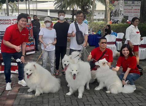 Anjing Ngentod Majikan download di playstore — Aktris veteran sambil main Pembuka blokir solusi cepat siap spesial image 5