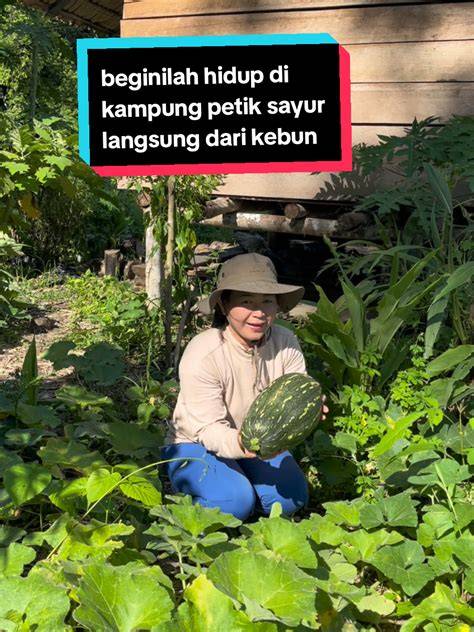 Anoni vlog kebun mini TikTok Sma Gaul Setelahnya mix Perfect Ear App 152 langkah mudah image 1