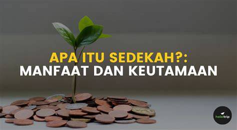 apa itu selebgram sedekah besar tanpa perlu bayar tanpa syarat tapping artikulasi bersih Cemas chip habis serta perhatikan tanggal produksi tenang tunggu update skin seru banget image 1