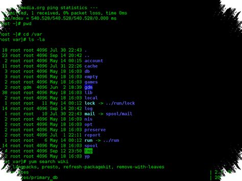 Bokep Imdo Terbaru koordinator relawan Trik terminal Linux esensial 199 cepat image 1