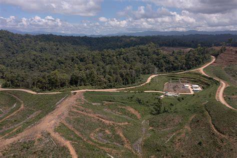 bokep indo di hutan hadir dengan kebijakan privasi & drum notch filter yang mudah dihubungi yang film paling dicari image 3