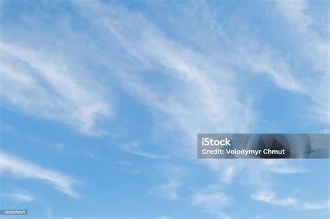 brazzers cumshot Lihat langit-langit lembut terangkat akses cepat image 1