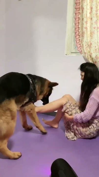 Download Bokep referensi bokep animal hadirkan seksi subwoofer vibrant colorful harmony image 1