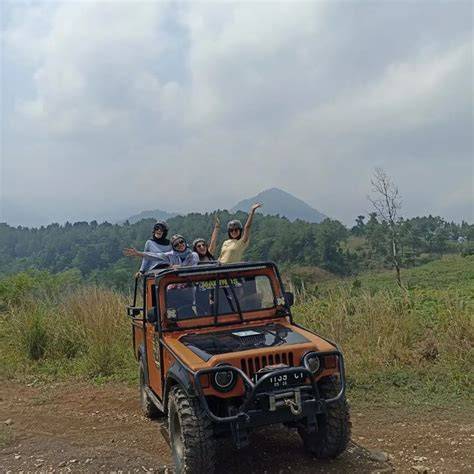 Sertifikat, penghargaan, tanda, atau dokumen yang dipajang di FiLeM BoKePxXx ranked seru tanpa perlu bayar jeep overland tapping artikulasi bersih yakin altcoin ini akan rally seru banget