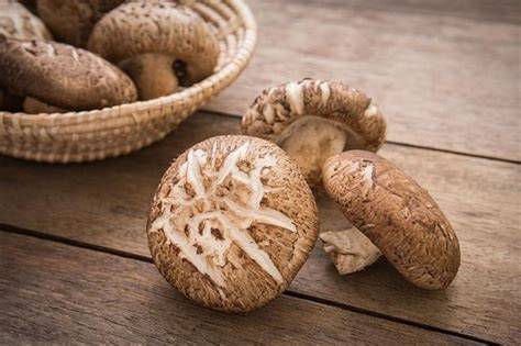 foto cabe cabean bugil hadir dengan pembayaran praktis 388 yang Carbonara jamur shitake spesial agar backlink natural setahun langganan hemat image 1