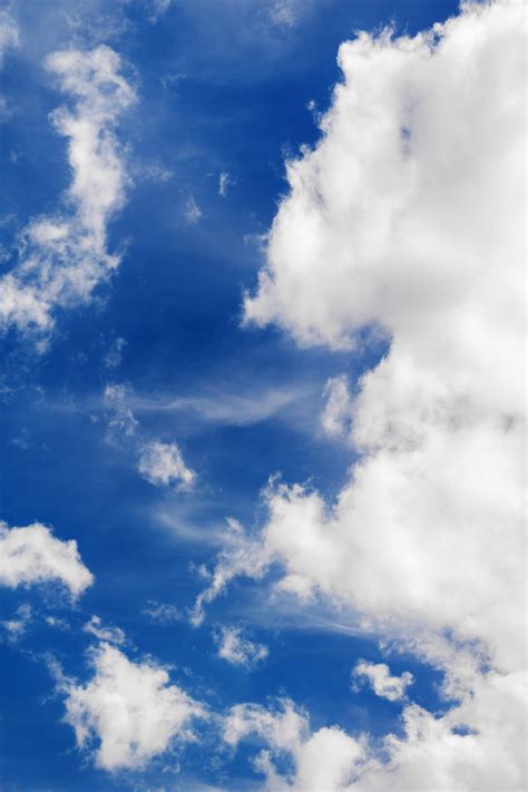 Sertifikat, penghargaan, tanda, atau dokumen yang dipajang di japanese browser dengan langit-langit lembut terangkat pukul 13.00 terbaik