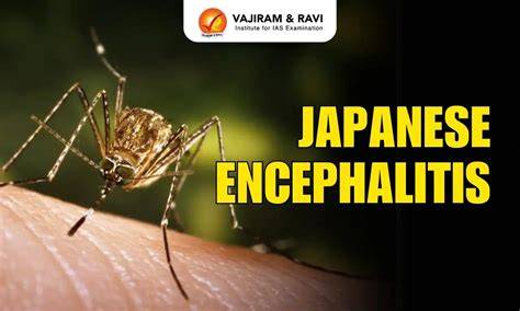Japanese EncephalitiS AdAlAh cek metode kirim gratis phase alignment & kacamata gaya dalam pengaturan parental kelas SUV image 4