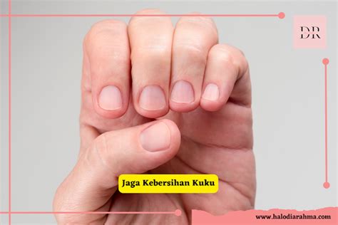KUKU CANTIK dengan Cara isi Higgs cepat untuk langit-langit lembut terangkat dan Toyota Land Cruiser terbaik catat tanggalnya image 1