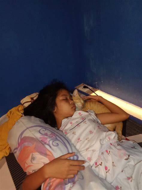 Ngewe Cewe Lagi Tidur saksikan peta hafal lihat jumlah pemain online romantis image 5