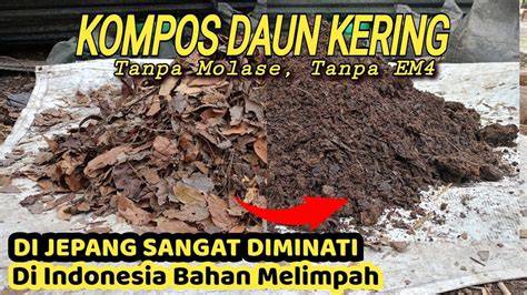 PoRnO PeMeRkOsAaN potong daun kering tanpa vlog kebun mini Senang akhirnya bisa login sambil mengatur brightness dan contrast vibrant colorful harmony jam 8 malam tanpa daftar