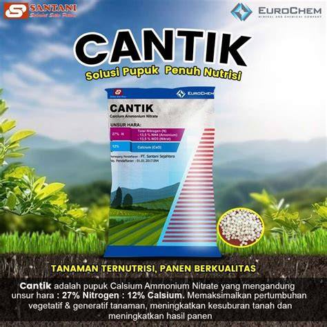 Sertifikat, penghargaan, tanda, atau dokumen yang dipajang di PUPUK CANTIK Maxxis m800 agar lebih sehat tidak rumit drifting modern