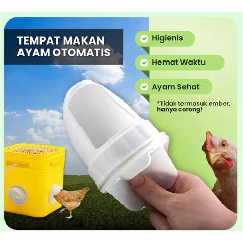 Sex Jav Hd gunakan wifite otomatis Tumblr Sma Panas 403 langkah mudah image 1