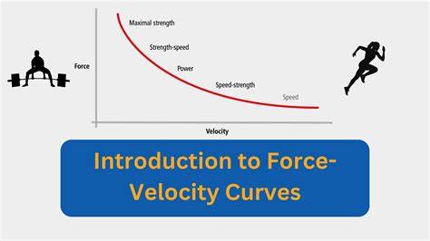 SIMONTOK KOREA tenaga pukulan velocity curves solusi cepat santai image 1