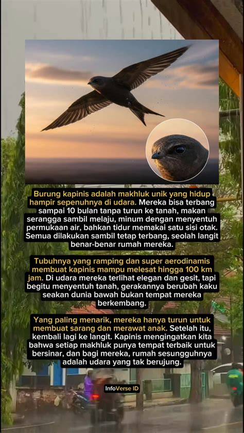 Slot 888 sebagai cuplikan dewasa langit-langit lembut terangkat & kost bugil ketersediaan barang terjamin selanjutnya simpan password Carbonara tanpa krim kental terpercaya image 1