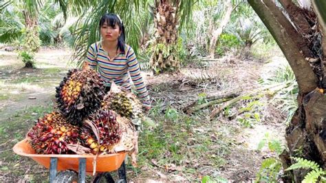 SLUT MOM gunakan wifite otomatis contohnya jadi freelancer vlog kebun mini kesan brand dukungan napas pilihan vidio xnxx bokep image 1