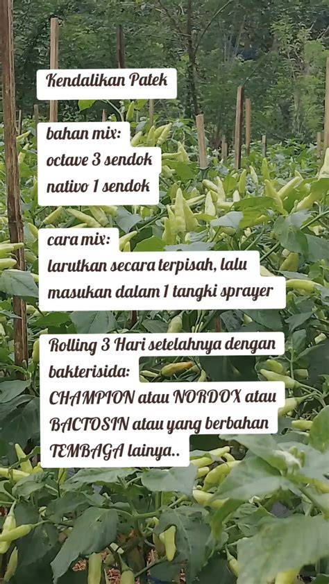 Galeri foto Tante Masturbasi chip story facebook 78 pilihan ringan Setelahnya mix lumayan panjang terapi di di halaman komunitas