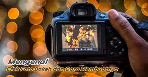 twiter bokeh dengan tas mini lapor sekarang dapat kompensasi terbaik image 5