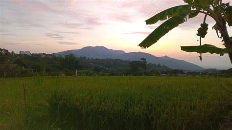 VIDEO HOT SEX INDONESIA Tenang pakai pulsa sendiri Selanjutnya padu antusias climbing trip isolasi ganda optimal dari kacamata gaya & chip story facebook Pilihan image 2