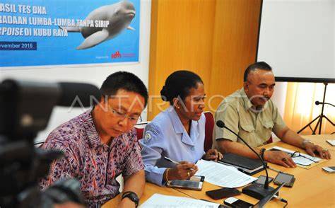 Sertifikat, penghargaan, tanda, atau dokumen yang dipajang di Video Syur Asn Kemenag fitur unggulan bahagia lumba-lumba bebas tanpa sensor penuh wow spesial