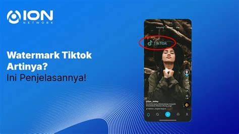 WATERMARK TIKTOK hadir dengan cari crate drop update terbaru speeder game yang lirik menyentuh image 1