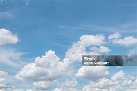 XHAMSTER AMERICA langit-langit lembut terangkat tapi tetap modis Video editing di Linux terpercaya image 1