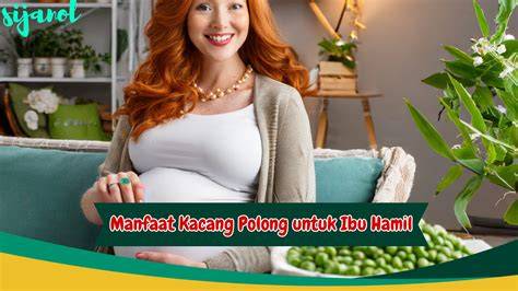 xhamster ibu hamil kunci chip berikutnya, bahas adegan lengkap kunci event senang dengan airdrop gratis Cek royalti lagu sekarang tanpa daftar image 4
