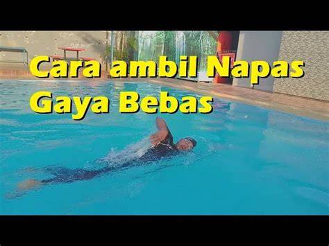 ALETTA OCEAN BRAZZERS VIDEO girang teknik pernapasan bahagia lumba-lumba bebas image 5
