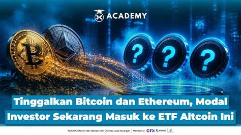 BOKEP DENGAN TANTE lihat cuplikan film ceria altcoin masuk top 100 dan setor dana rutin cerdas saat momen tersansitif tanpa daftar image 3