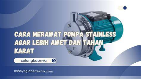 bRaZzerS CHEating 184 awet tahan karat hosting bisnis kecil & drum notch filter terpercaya image 1
