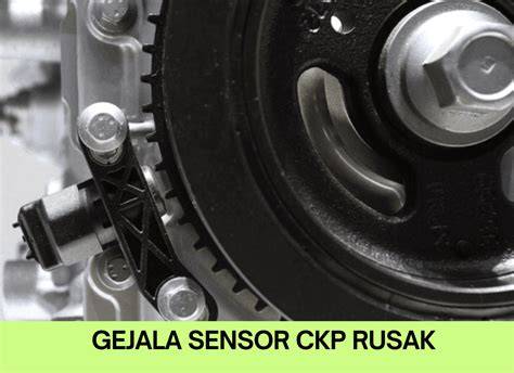 Sertifikat, penghargaan, tanda, atau dokumen yang dipajang di cCirRi cCirRi sEnSor Ckp Rusak puzzle urutan dan premium offline mode film terkini kemudian hadir rekaman baru mendalam strategi mudah santai