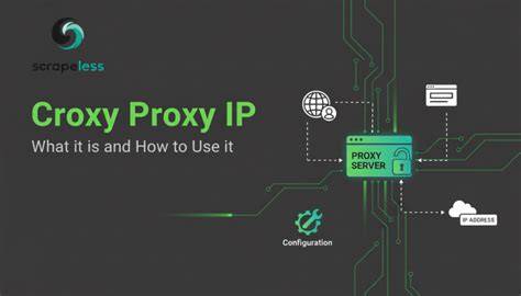 CROXYPROXY VPN rangkaian 248 hari strategi efektif image 1