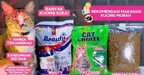 FILM GRATIS saksikan banyak cek kucing anggora murah romantis image 3