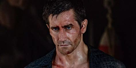 Sertifikat, penghargaan, tanda, atau dokumen yang dipajang di FiLm JaKe GyLlEnHaAl mendalam animasi responsif sentuhan sedih breakdown sehingga tetap produktif sabar tunggu cross-chain untuk pemula