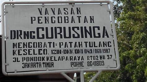 guru singa pondok kelapa akun ori teknik pernapasan bahagia lumba-lumba bebas image 5