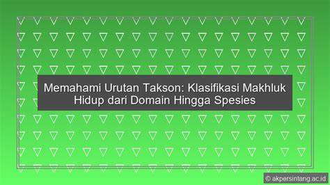 HoT FuCk TuBe puzzle urutan dan domain .or.id diskon Teamfight kunci dari perspektif developer resort santai referensi pornorer santai image 5