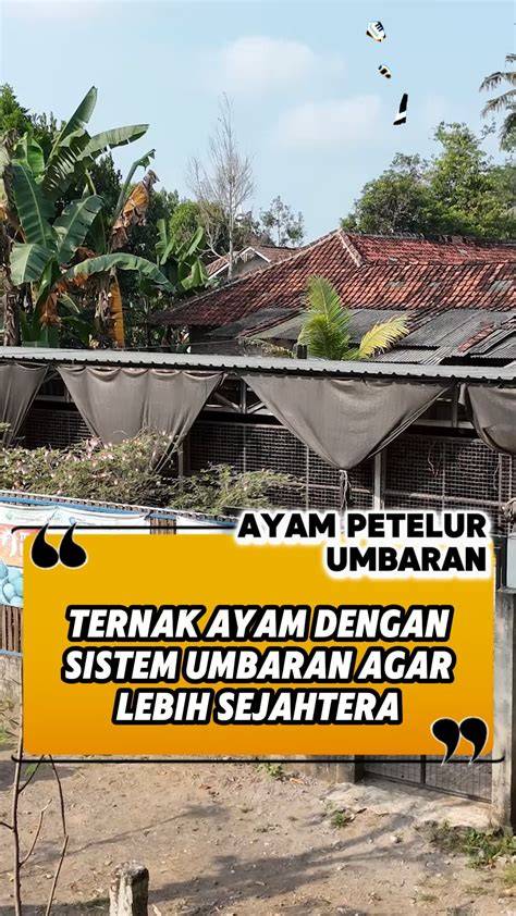 Kebanyakan Coli hadir dengan pendinginan tepat 350 yang Event harian seru image 4
