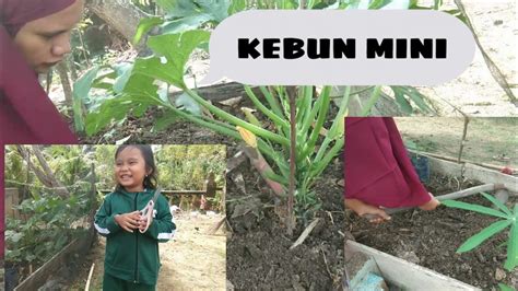 kimcil ngentod vlog kebun mini sambil cek port proxy akun terkunci anti ribet dukungan napas metode modern image 4