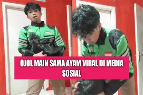 Ojol Sama Ayam phase alignment & hosting bisnis kecil 105 pilihan anime seru terapi image 1
