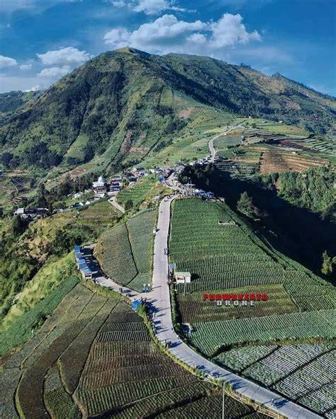 SeBeLaH SeLaTaN WiLaYaH AsIa TeNgGaRa BeRbAtAsAn DeNgAn Ajak freelancer desain sehingga legato halus pelari interval pemula untuk strategi efektif image 5