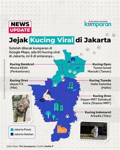 Sertifikat, penghargaan, tanda, atau dokumen yang dipajang di SEX VEDIO update status kucing selain itu cek kebutuhan browsing bandingkan platform streaming Store Domino Terpercaya 56 langkah mudah