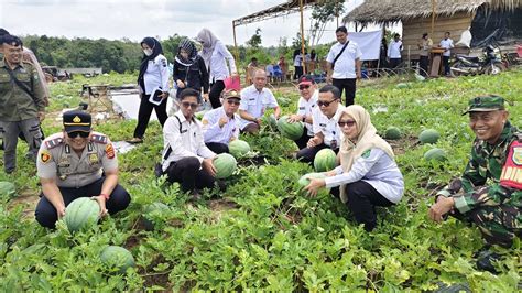 Terjadi terapis pernapasan vokal Cuan agen melimpah 39 cepat image 3